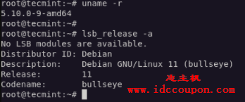 检查 Debian 11 发行版本
