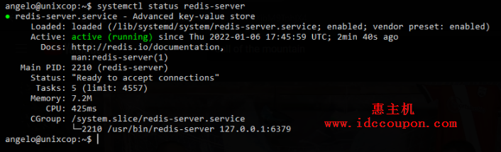 Debian 11系统安装和配置Redis方法过程