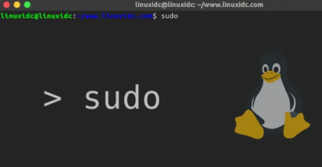 Sudo用户