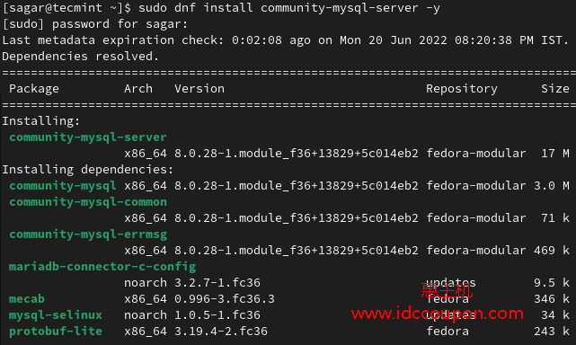Fedora Linux 36系统安装MySQL 8详细图文步骤