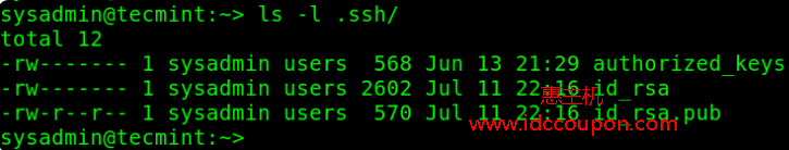 检查SSH目录上的文件权限