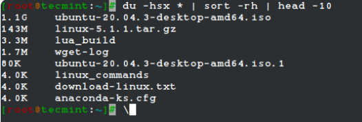 在 Linux 中查找使用最多磁盘空间的文件