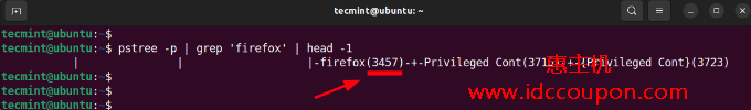 输出Linux进程的PPID