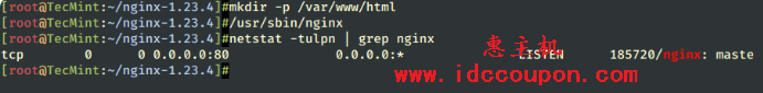 启动Nginx服务