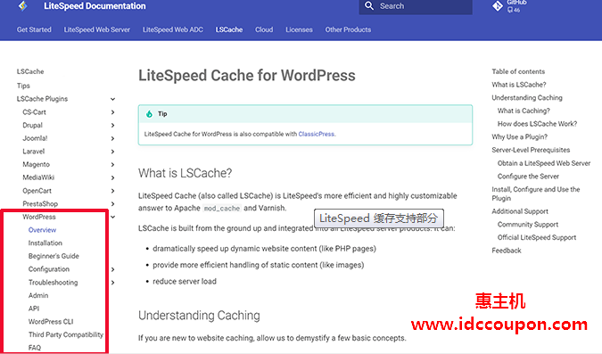LiteSpeed Cache技术支持
